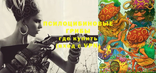 прущие крисы Надым