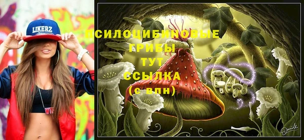 прущие крисы Надым