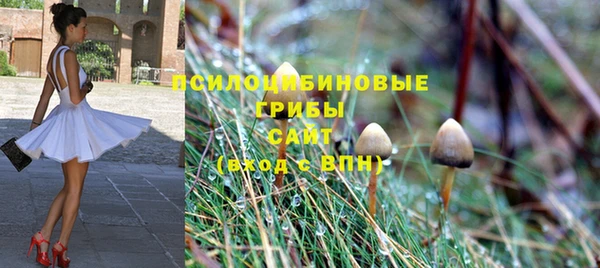 прущие крисы Надым